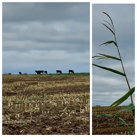 Alojamento de Acomodação e Pequeno-almoço La Lune En Bulles