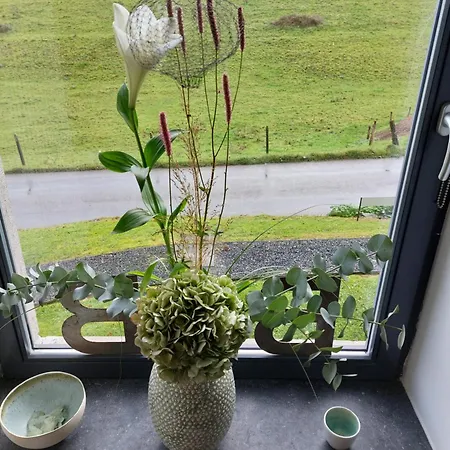 La Lune En Bulles Presseux