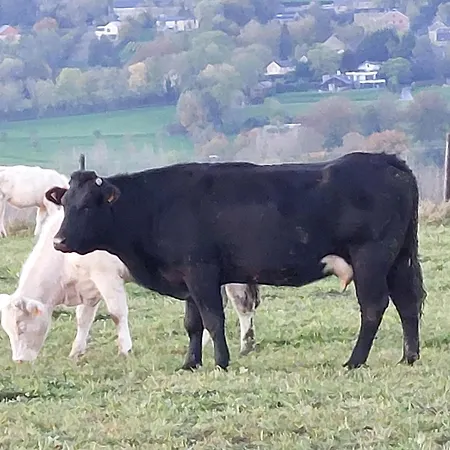 La Lune En Bulles Alojamento de Acomodação e Pequeno-almoço 3*