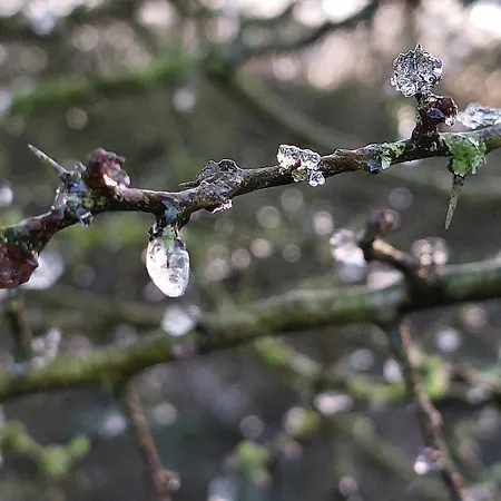 Bed & Breakfast La Lune En Bulles Presseux