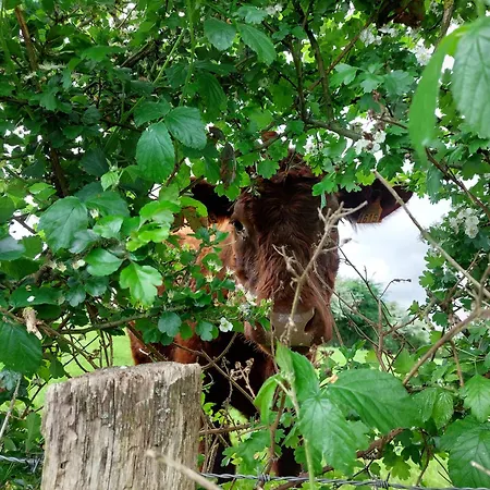 La Lune En Bulles 3*