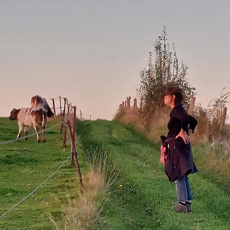 La Lune En Bulles Presseux