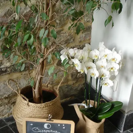 La Lune En Bulles Alojamento de Acomodação e Pequeno-almoço Presseux