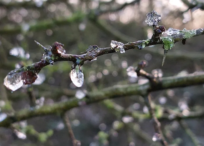Bed & Breakfast La Lune En Bulles Presseux