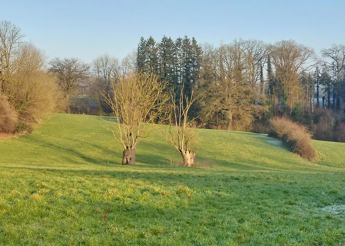 La Lune En Bulles 3* Presseux