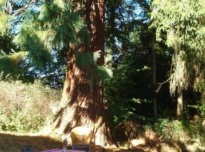 La Lune En Bulles 3*